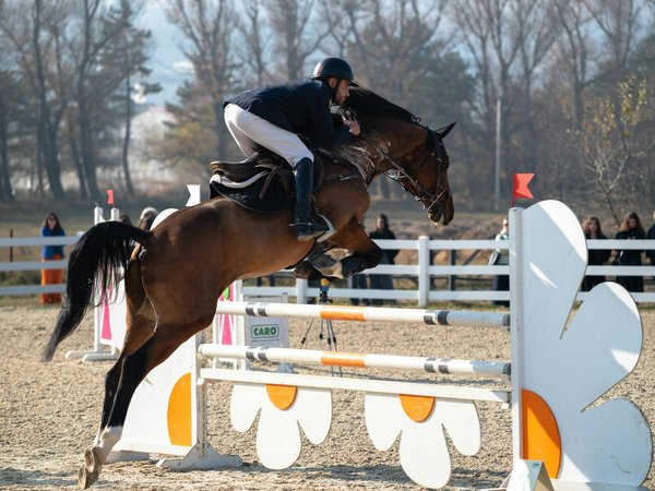 Découvrez les tapis de pilates colorés pour votre inspiration !