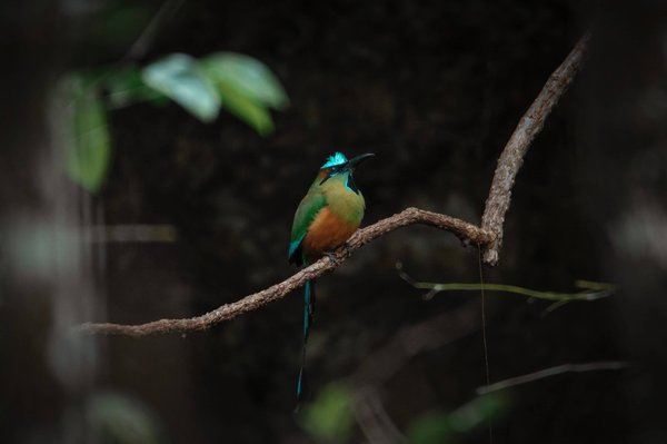 comment incorporer le fitness dans votre emploi du temps chargé